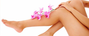 Areas for Laser Hair Removal - Legs