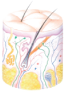 What is Microdermabrasion