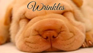 5 Things You Can Do Now About Wrinkles